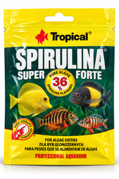 Tropical Spirulina Super Forte 36% – pokarm w płatkach dla ryb glonożernych, 12 g